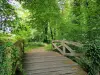 Regionale Natuurpark van de Frans Vexin - Kleine brug in het bos