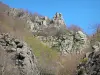 Regionaler Naturpark der Ardèche-Berge - Felsen inmitten eines Waldes