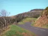 Regionaler Naturpark der Ardèche-Berge - Strasse am Waldeingang