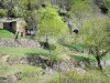 Regionaler Naturpark der Ardèche-Berge - Hütte umgeben von Bäumen und Terrassen aus Bruchstein