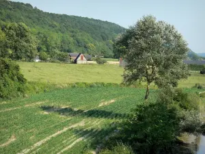 Regionaler Naturpark der Boucles de la Seine Normande - Häuser umgeben von Wiesen und Bäumen