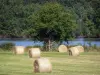 Regionaler Naturpark Brenne - Heuballen auf einem Acker und Baum am Teichrand