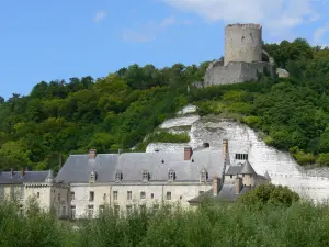 Regionaler Naturpark Französischer Vexin - Dungeon und Schloss von La Roche-Guyon, umgeben von Bäumen