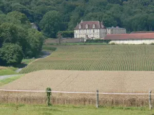 Regionaler Naturpark Französischer Vexin - Residenz umgeben von Bäumen und Feldern