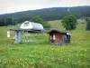 Regionaler Naturpark des Haut-Jura - Wintersportort Les Rousses im Sommer: Sesselbahn (Skilift), Feldblumen, Alm (Weide), Bäume und Tannen