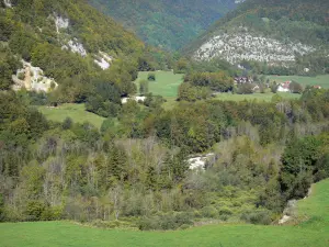 Regionaler Naturpark des Haut-Jura - Jura Gebirge: Wiesen umgeben von Bäumen