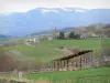 Regionaler Naturpark der katalanischen Pyrenäen - Grüne Landschaft der Hochebene der Cerdagne (Cerdanya) bestreut mit Häusern