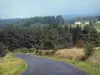 Regionaler Naturpark Livradois-Forez - Strasse mit Blick auf den Tannenwald