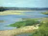 Regionaler Naturpark Loire-Anjou-Touraine - Loire Tal: Fluss Loire, Vegetation, Ufer, Bäume und Wald