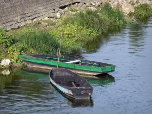 Regionaler Naturpark Loire-Anjou-Touraine - Loire Tal: Boote auf dem Fluss Loire und Vegetation am Wasserrand