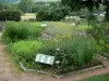 Regionaler Naturpark des Morvan - Kräutergarten (Heilkräutergarten) des Hauses des Park - Espace Saint-Brisson