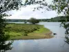 Regionaler Naturpark des Morvan - Blick auf den See Saint-Agnan (künstlicher See) und seine Seeufer, Baumzweige vorne