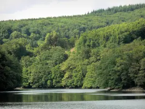 Regionaler Naturpark des Morvan - See Chaumeçon (künstlicher See) und sein bewaldetes Ufer
