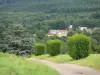 Regionaler Naturpark des Morvan - Kleine Strasse, Wiese, Bäume, Haus und Wald