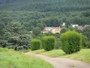 Regionaler Naturpark des Morvan - Kleine Strasse, Wiese, Bäume, Haus und Wald