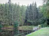 Regionaler Naturpark Morvan - Teich in einer bewaldeten Umgebung