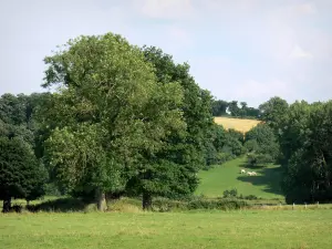 Regionaler Naturpark Normandie-Maine - Marcelles Alpen: Bocage-Landschaft