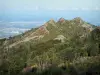 Regionaler Naturpark des Pilat - Pilat-Massiv (Wald, Bäume) und Tal des Rhône im Hintergrund