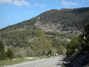 Regionaler Naturpark des Verdon - Route Napoléon und Hügel bestreut mit Bäumen