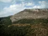 Regionaler Naturpark Verdon - Wald, Garrigue, Felswände und Wolken im Himmel