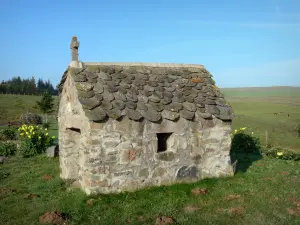 Regionaler Naturpark der Vulkane der Auvergne - Kapelle umgeben von Weideland