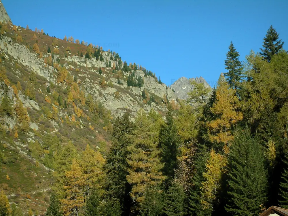 La Réserve Naturelle des Aiguilles Rouges - Aiguilles Rouges: Arbres aux couleurs de l'automne et roches du massif des Aiguilles Rouges (Réserve Naturelle des Aiguilles Rouges)