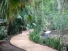 Réunion botanical garden - Discovery tour of the flora of the area