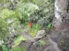 Réunion National Park - Hiking trail in the Cilaos cirque leading to the Taïbit pass