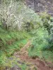 Réunion National Park - Mafate cirque: path leading to Marla
