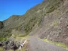 Réunion National Park - Path to the Col des Boeufs pass