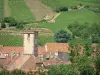 Ribeauvillé - Carnicerías Torre (antiguo campanario) y casas de la ciudad, los viñedos en el fondo