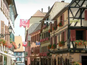 Ribeauvillé - Vlaggen hingen voor de ramen en kleurrijke huizen versierd met geraniums (bloemen)