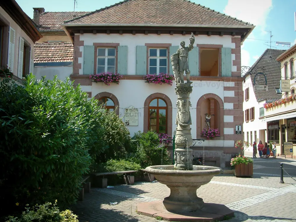 Ribeauvillé - Place avec fontaine, plantes et maisons décorées de fleurs (géraniums)