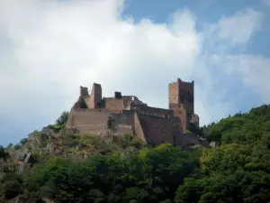 Ribeauvillé - Castillo de St. Ulrich, rodeado de árboles