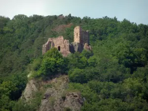 Ribeauvillé - Girsberg kasteel omringd door bomen