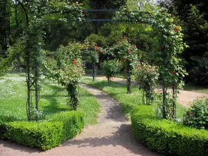 Richelieu - Park: Kletterrosen (Rosen) des Rosengartens