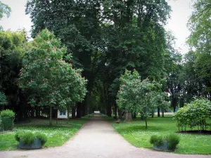 Richelieu - Park: met bomen omzoomde oprijlaan en gazons