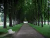 Richelieu - Parc : banc en premier plan et allée bordée d'arbres et de pelouses