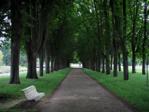 Richelieu - Park: Bank vorne, und Alle gesäumt mit Bäumen und Rasen