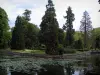 Richelieu - Park: rivier met bomen en waterlelies