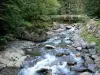 Rioumajou valley - Rivers flowing amid the rocks and bridge spanning the river