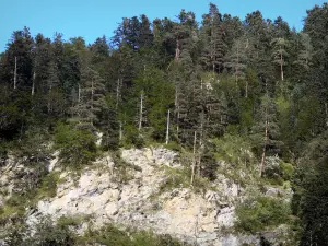 Rioumajou valley - Rock wall and trees