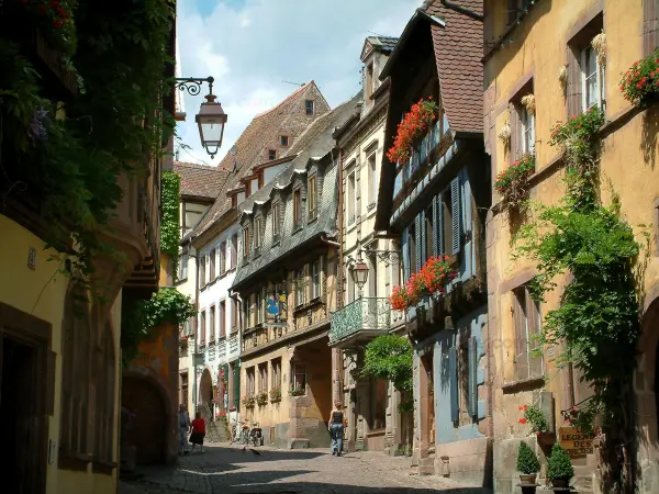 Riquewihr - Sloping narrow paved street lined with houses, colourful facades and windows decorated with geranium flowers