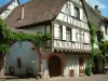 Riquewihr - Maison à colombages avec des plantes grimpantes