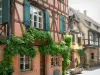 Riquewihr - Half-houten huizen met kleurrijke gevels versierd met wijnstokken