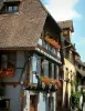Riquewihr - Houten huizen met gekleurde gevels (blauw, geel, groen) en bloembakken van geraniums