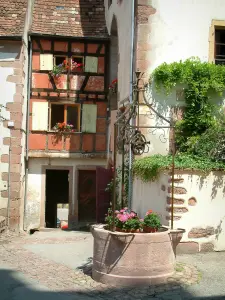 Riquewihr - Flower-bedecked well and houses decorated with flowers and creepers