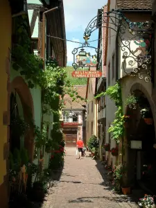 Riquewihr - Narrow paved street lined with houses decorated with flowers, facades decorated with forged iron shop signs
