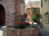 Riquewihr - Flower-bedecked fountain (geranium) and half-timbered houses