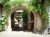 Riquewihr - Petit passage voûté orné de plantes grimpantes menant à une terrasse de restaurant